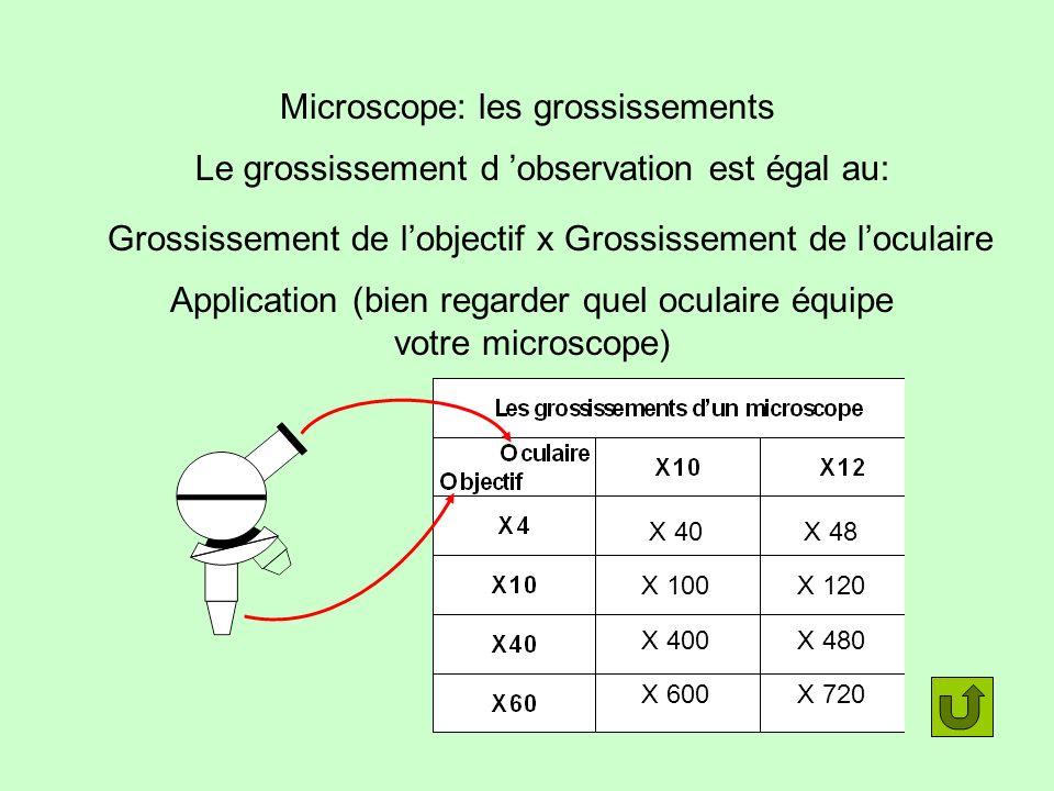 calcul grossissement microscope